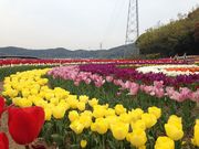 ǂ݂̈Pr_ƌuTepN͂v̓eʐ^1