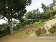 �͂Ȃ���̗^�Ӗ�����̓��e�ʐ^1