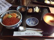 ���₿���123����̂��낱�����̓��e�ʐ^1