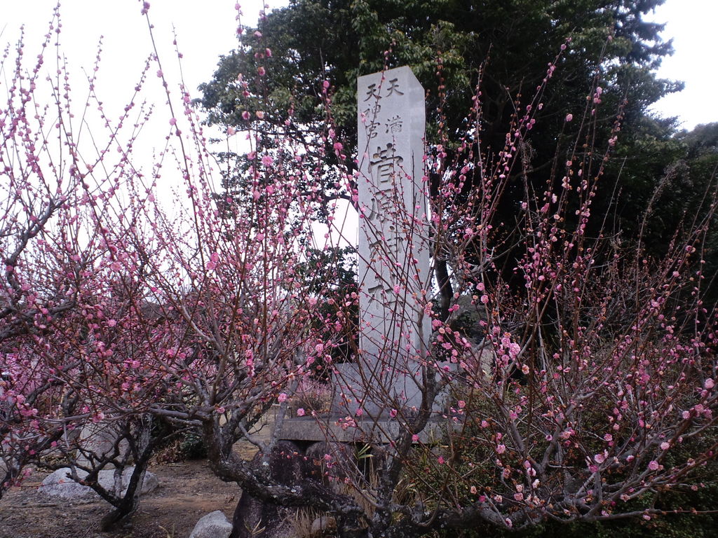 全国 合格祈願におすすめの神社 お寺44選 学問の神様に学業成就を祈ろう じゃらんニュース