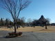 komoさんの21世紀記念公園　麓山の杜への投稿写真2