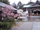 jiboさんの加佐登神社の投稿写真2