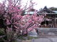 korikoriさんの加佐登神社の投稿写真1