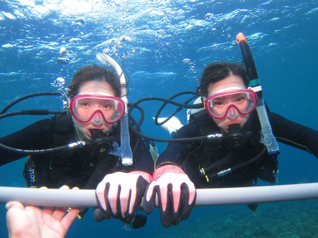 �_�������Ĉ��S���܂����I_�A���t�@�_�C�u�k�J�X