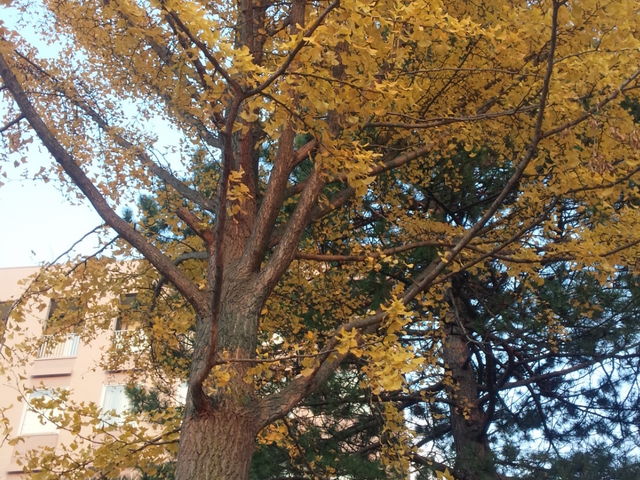 �k��C�`���E����