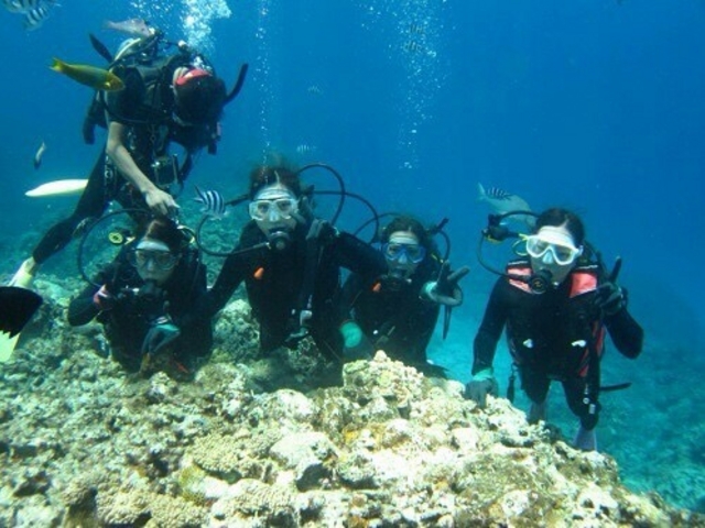 �y�����_�C�r���O�ł��܂���(^ ^)_�A���t�@�_�C�u�ǒJ�X