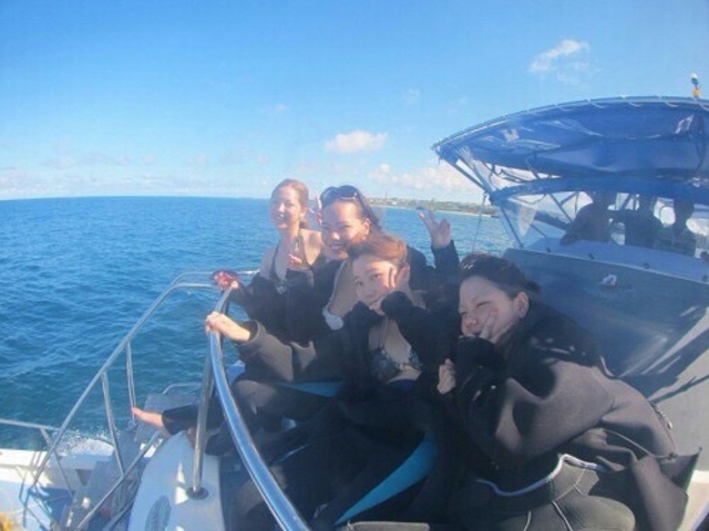 �s���A����y���������I_�A���t�@�_�C�u�ǒJ�X