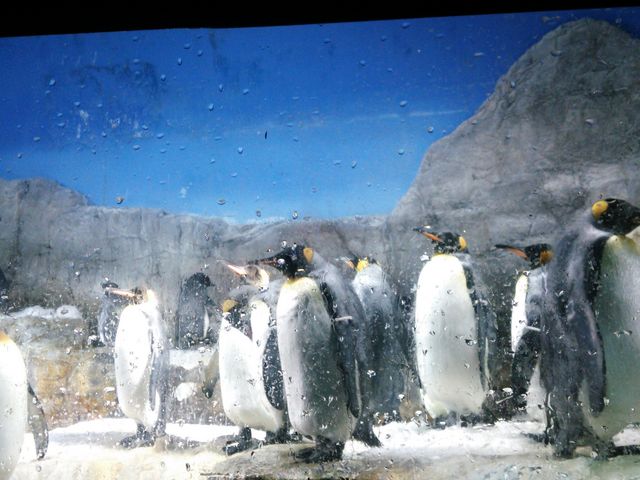 �y���M��_�C�V��