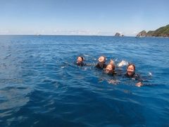 ��Ȃ���̃A���t�@�_�C�u�ǒJ�X�ւ̓��e�ʐ^1