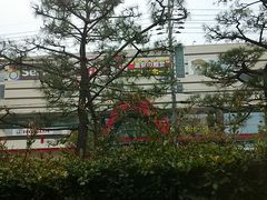 Ђ낿񂳂̂`򍲖ւ̓eʐ^1