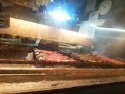 񂳂̂Ђ܂Ԃ É  GXJX̓eʐ^1