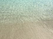 �Ђł���̒|��l�C������̓��e�ʐ^2