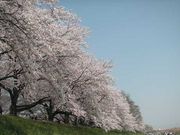 Ԃ񂿂񂳂̗͐wn̓eʐ^2