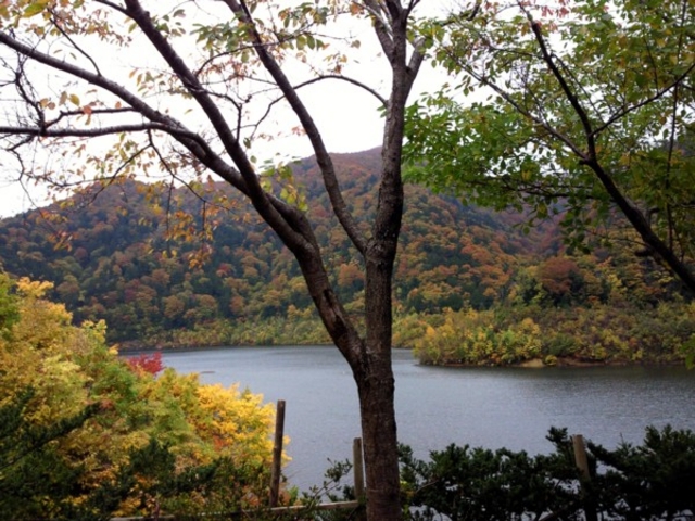 �͓��_��_���̉w ���키����