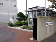 kingtut́ijj`Ct[YXH̓eʐ^3