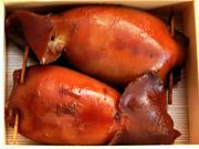 kingtut́ijj`Ct[YXH̓eʐ^5