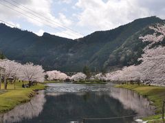 ちえちゃんさんの下北山スポーツ公園への投稿写真1