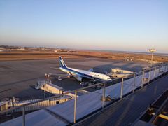 ڂ񂳂̐`W]ւ̓eʐ^1