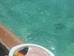 pooñt[W[}T[rXւ̓eʐ^2