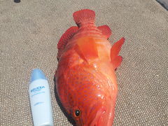 pooñt[W[}T[rXւ̓eʐ^3