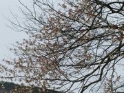 䂫񂱂̑Ö{̓eʐ^1