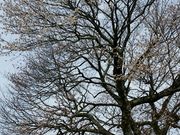 䂫񂱂̑Ö{̓eʐ^4