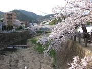 TATK͔̈Ȃ̍؂̓eʐ^2