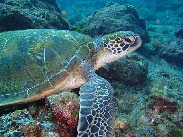 ���ɂ��h��ȋ���A�j�������܂����B_aquastyle