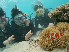 ̃}T[rXA|Ί_ւ̓eʐ^1