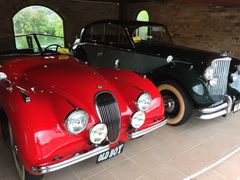 ݂悿񂳂̃JtFXg@K[WnEXւ̓eʐ^1