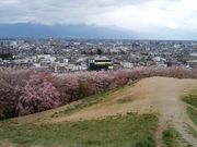 �Ȃ����ǂ���̍O�@�R�Õ��̍��̓��e�ʐ^2