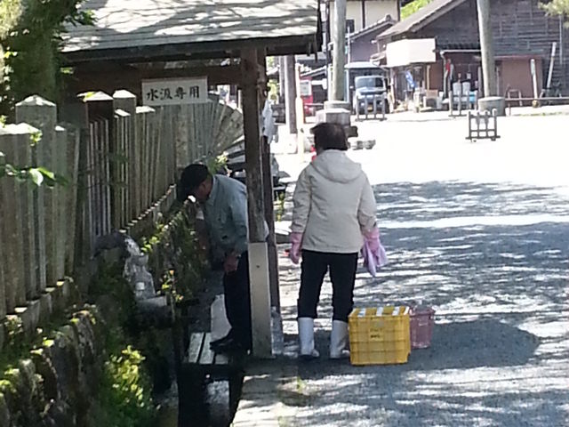 �N���̐������܂�Ă�n���̕v�w_���h�_��