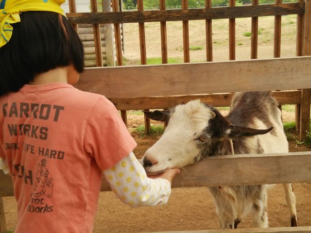 ���Ӑ������R����