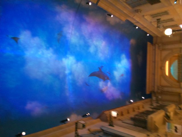 wC̐ExB܂ŊCɂ邩̂悤ȁB_VenusFort