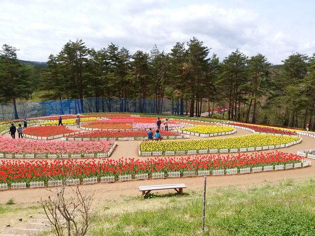 �`���[���b�v���̏�ɂ͕��Ԃ������āA�I�����_���ۂ������ł����I_��J��_���t�H���X�g�p�[�N�E�y�ă`���[���b�v��