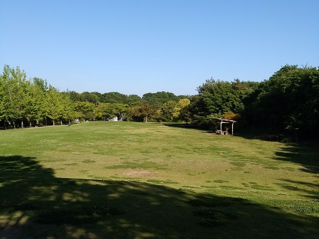 �Ő��L��_�O�؎R�X�ь���