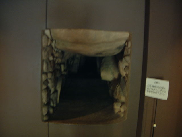 Ԃ񂳂̌ܘYRÕ̓eʐ^2