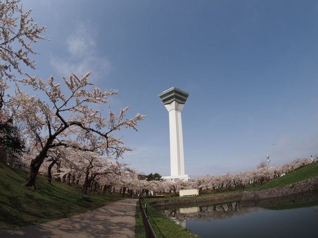 �^���[�ƍ�_�ܗŊs����