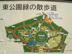 花ちゃんさんの東公園（福岡県福岡市）の投稿写真1