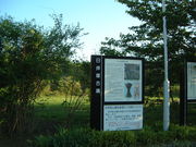 Ԃ񂳂̓qˌÕ̓eʐ^1