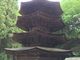 シトラさんの安楽寺八角三重塔の投稿写真1