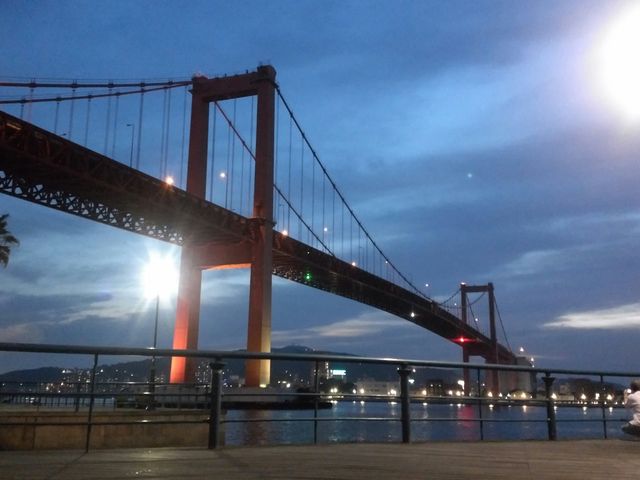 勴̎ˑ勴̖i_ᏼCݒʂ