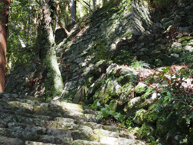 ���[���Βi�������Ƒ����܂�_�P�����R