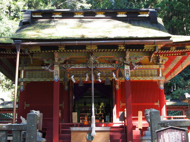 �ƍN���䂩��̂���
���Ƌ{�Ɏ��Ă��܂�_�P�����R