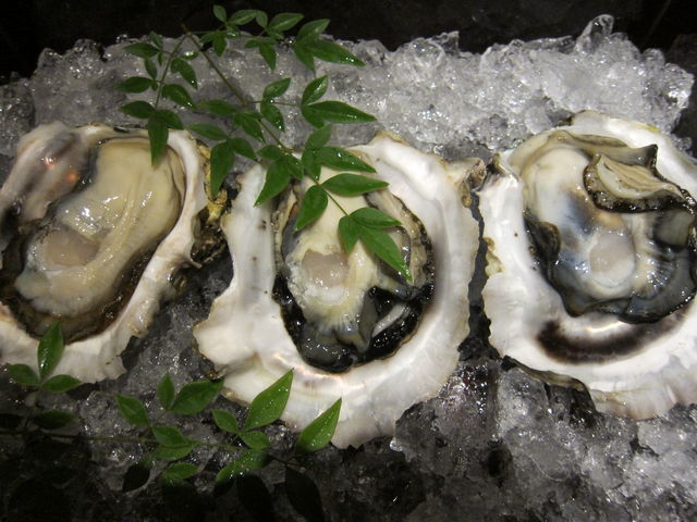 ΊčÙB  wOX̓eʐ^1