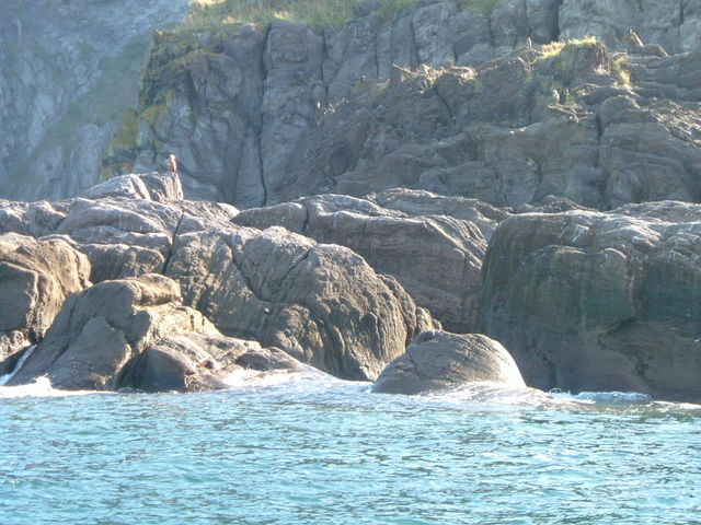 D̒߁iSj_SWό@JCbJN[U[mEgN[Y