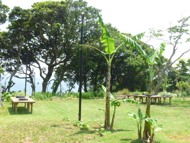 ���O�X�y�[�X_�ɓ����l�o�[�x�L���[�K�[�f��