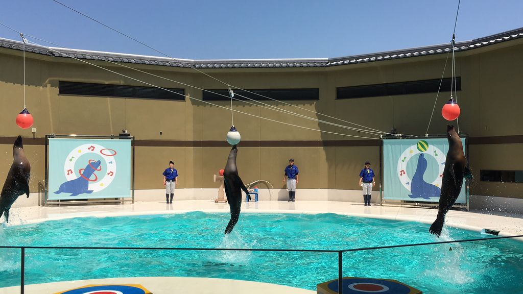 宮島水族館「みやじマリン」
