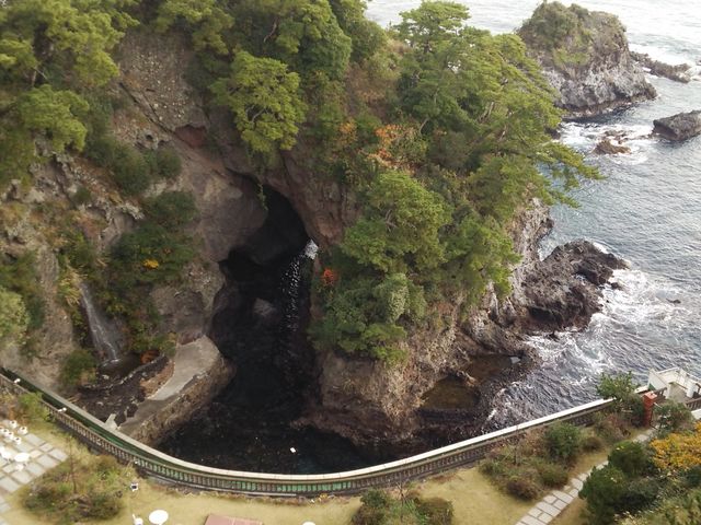 ݁[񂳂̋уYR̓eʐ^1