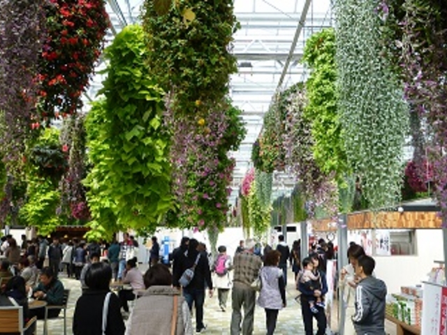 �X�J�C�K�[�f�����l�ő卬�G_�O���X�J�C�E�H�[�N